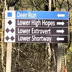 Blue Knob Bear Den