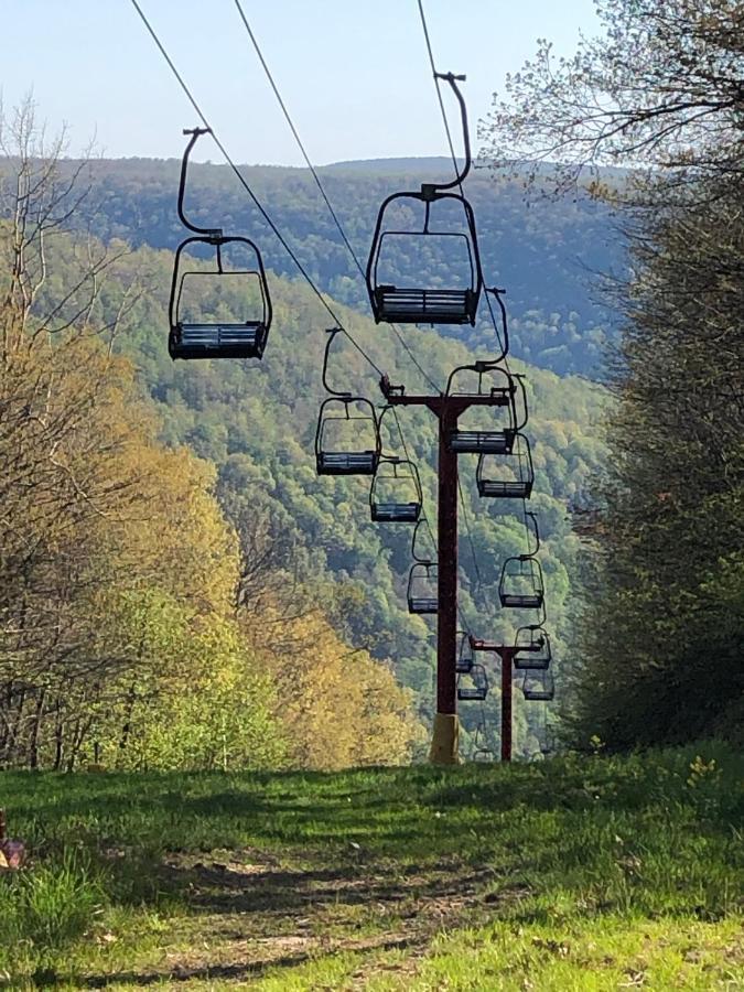 Blue Knob Bear Den Apartamento